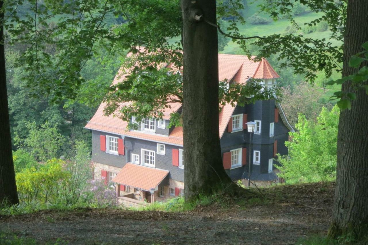 Panoramablick Appartement - Traumhaft! Ober-Hambach Eksteriør bilde